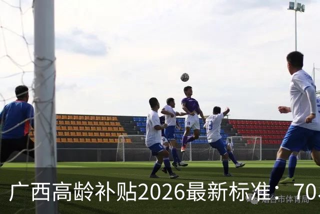 广西高龄补贴2026最新标准：70、80、90岁每月分别能领多少钱？