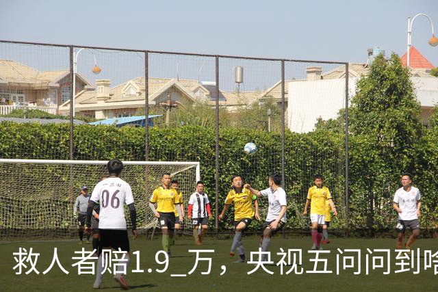 救人者赔1.9 万，央视五问问到啥时候，美式法治还要害多少人？
